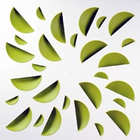 Pistachio Green